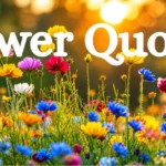 Flower Quotes