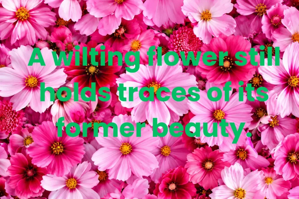 flower-quotes-about-the-beauty-of-flowers